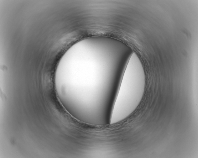 X0000091190743200708091022