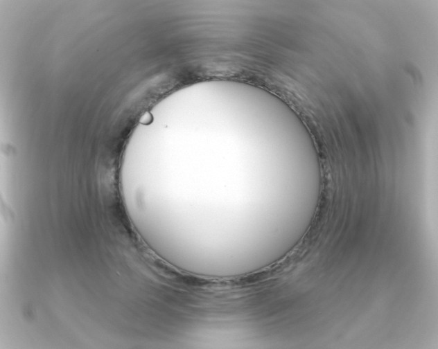 X0000091190745200708091022
