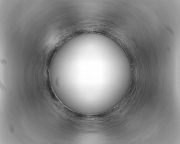 X0000091190746200708091022