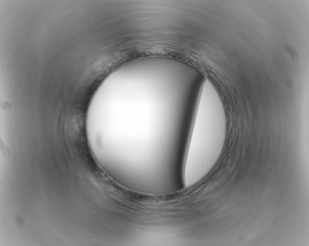 X0000091190747200708091022