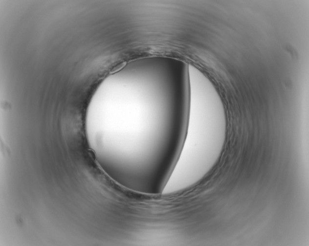 X0000091190748200708091022