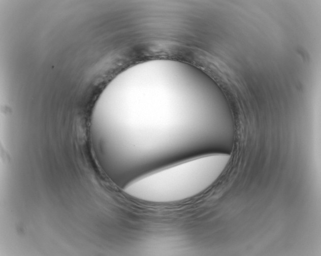X0000091190751200708091022