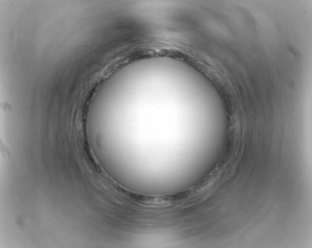 X0000091190754200708091022