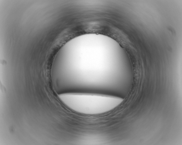 X0000091190755200708091022