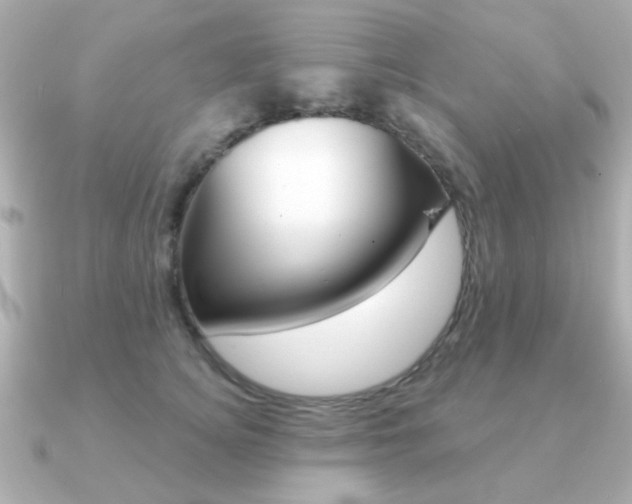 X0000091190756200708091022