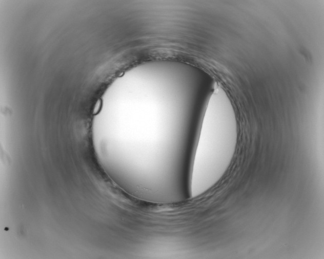 X0000091190759200708091022