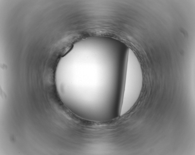 X0000091190760200708091022
