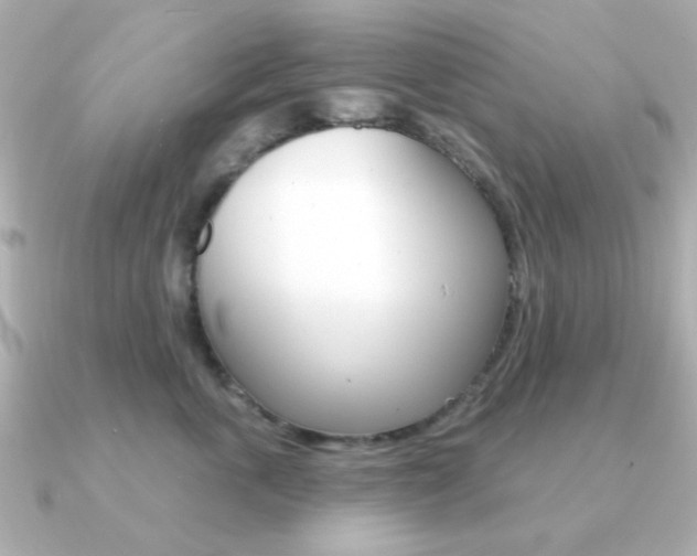 X0000091190763200708091022
