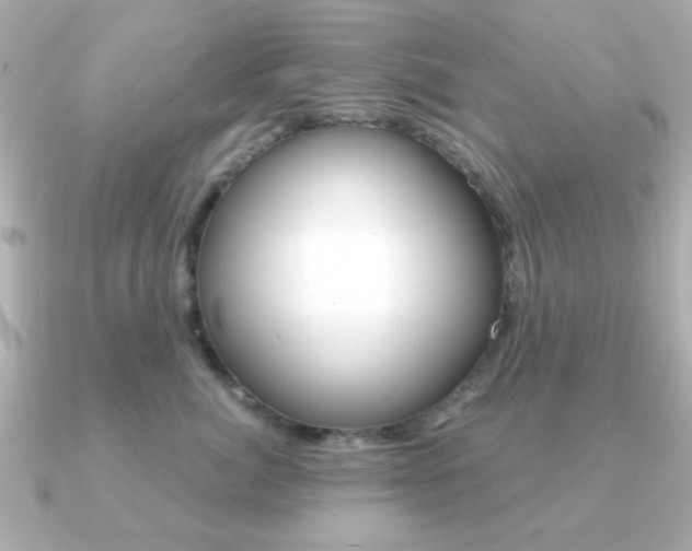 X0000091190764200708091022