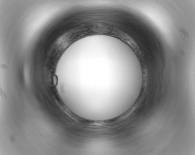 X0000091190765200708091022