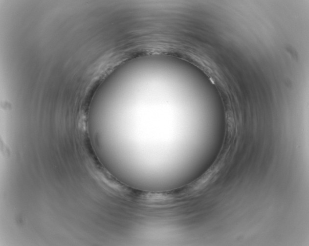 X0000091190766200708091022