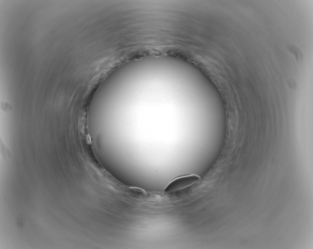 X0000091190768200708091022
