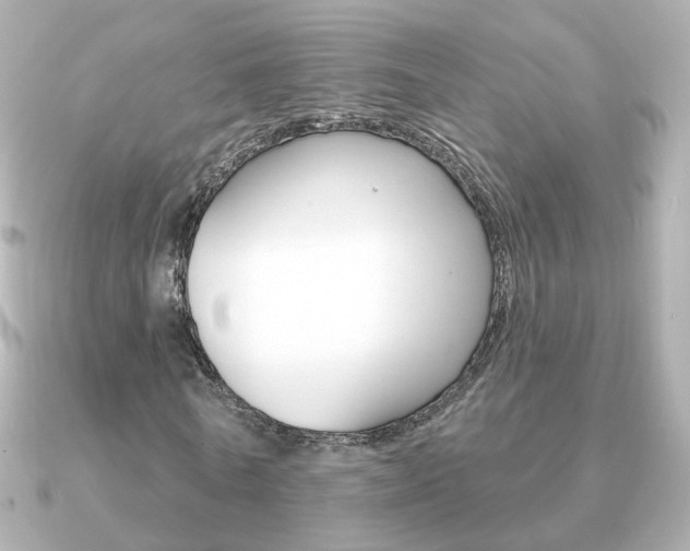 X0000091190770200708091022