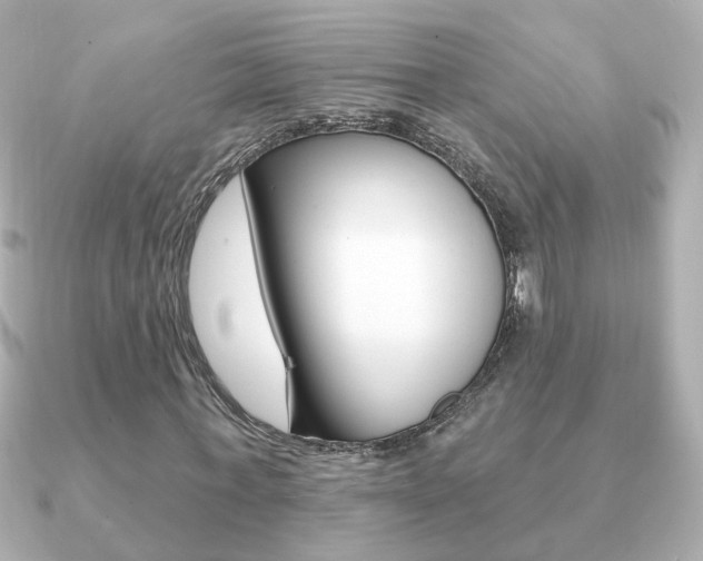 X0000091190771200708091021