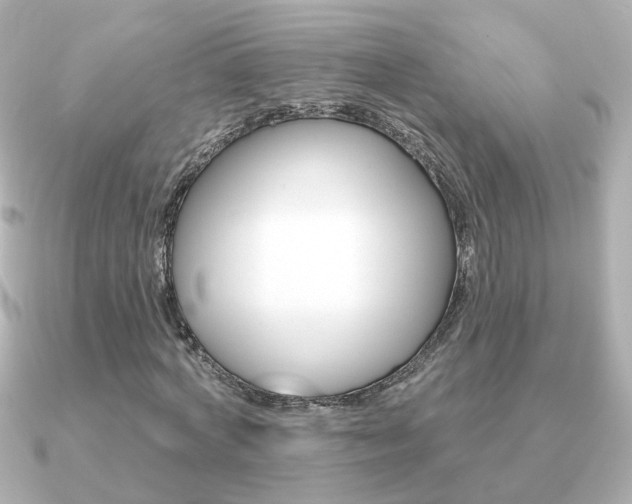 X0000091190772200708091021