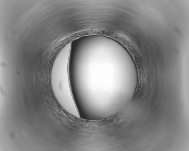 X0000091190773200708091021
