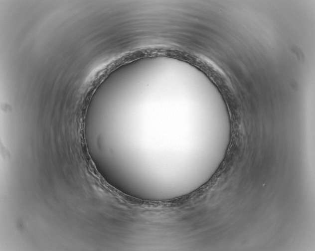 X0000091190775200708091021