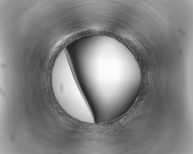 X0000091190776200708091021