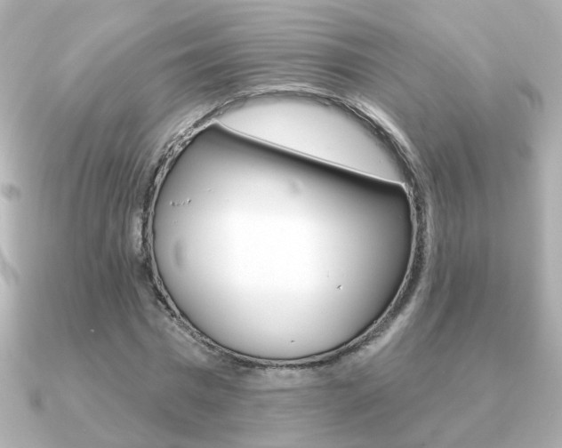 X0000091190777200708091021