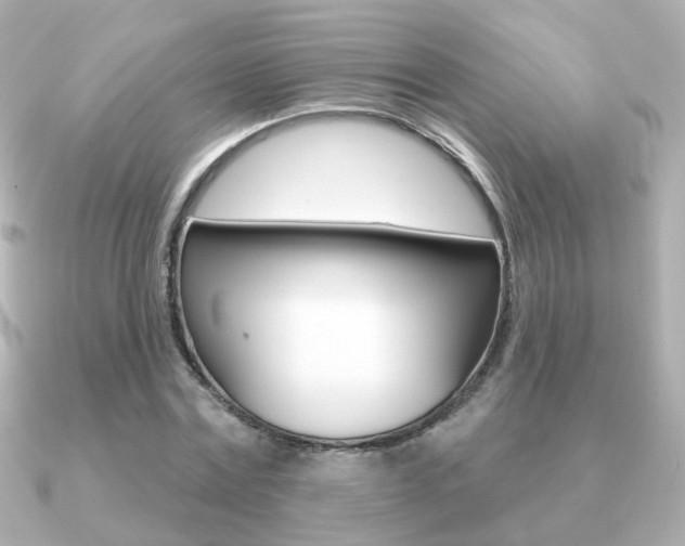 X0000091190779200708091021