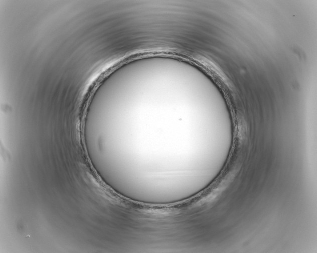 X0000091190781200708091021