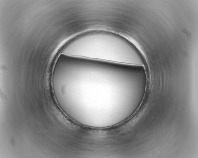 X0000091190783200708091021