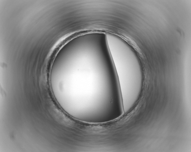X0000091190784200708091021