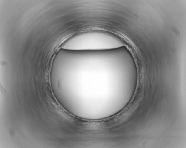 X0000091190785200708091021