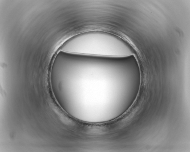 X0000091190786200708091021