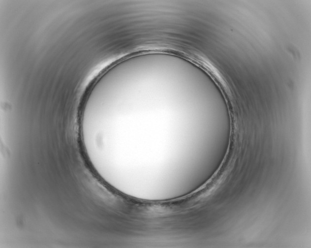 X0000091190787200708091021