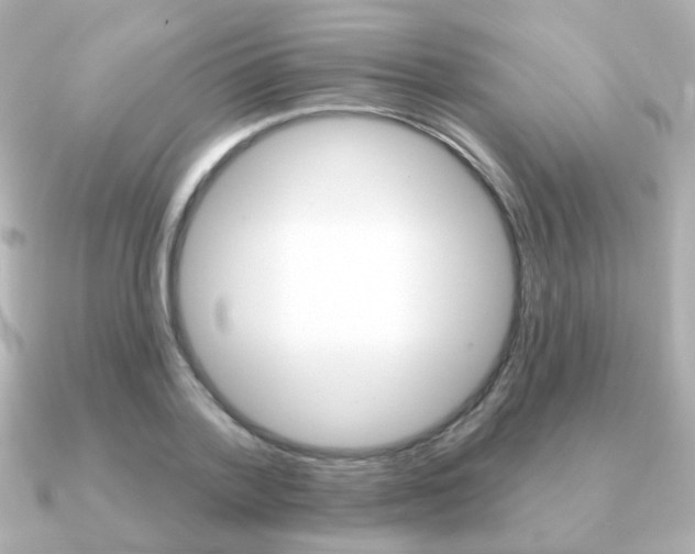 X0000091190788200708091021