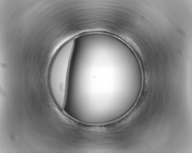 X0000091190789200708091021