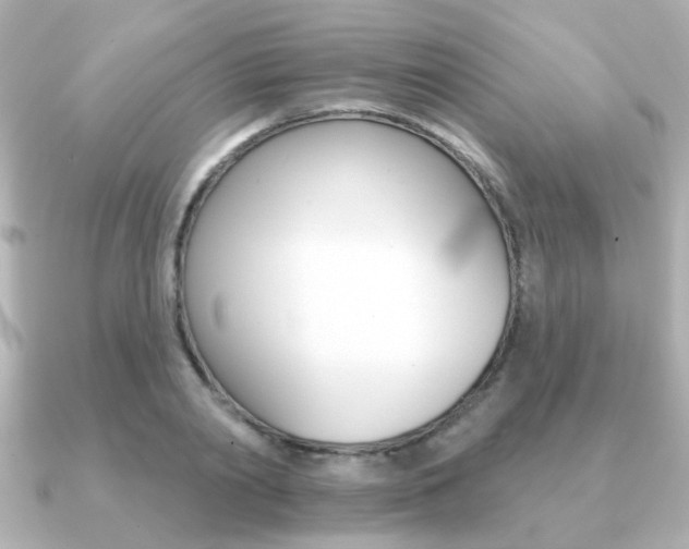 X0000091190790200708091021