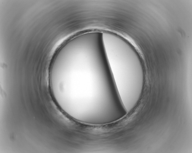 X0000091190791200708091021
