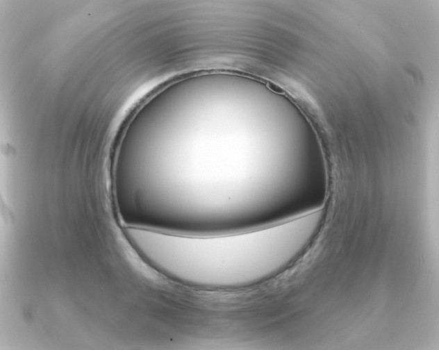 X0000091190792200708091021