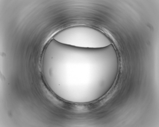 X0000091190794200708091021