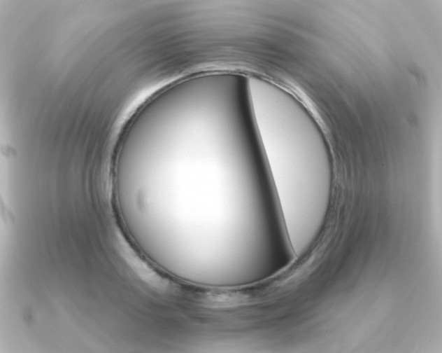 X0000091190795200708091021