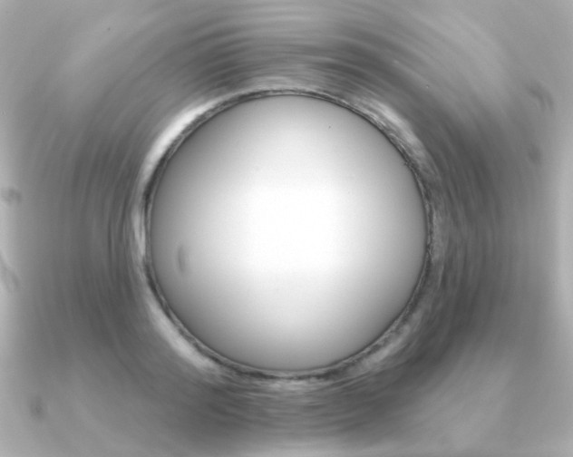 X0000091190796200708091021