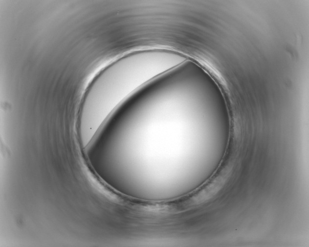 X0000091190797200708091021