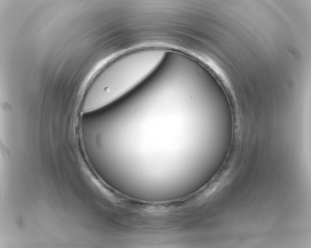 X0000091190799200708091021