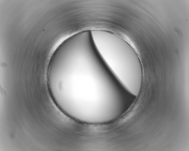 X0000091190803200708091021