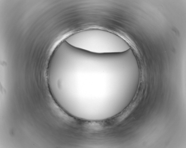 X0000091190806200708091021