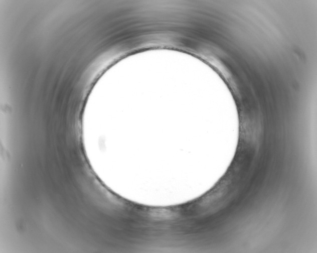X0000091190807200708091021
