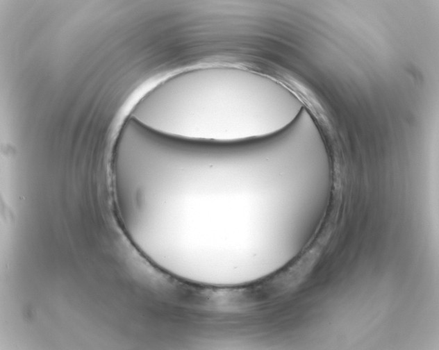 X0000091190808200708091021