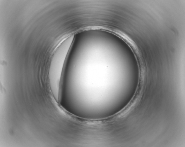 X0000091190809200708091021