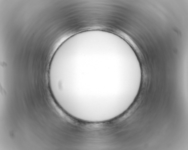 X0000091190810200708091021