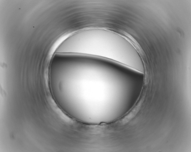 X0000091190812200708091021