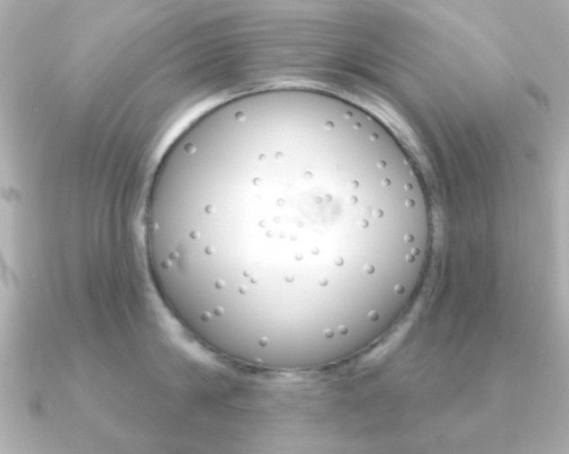 X0000091190814200708091021