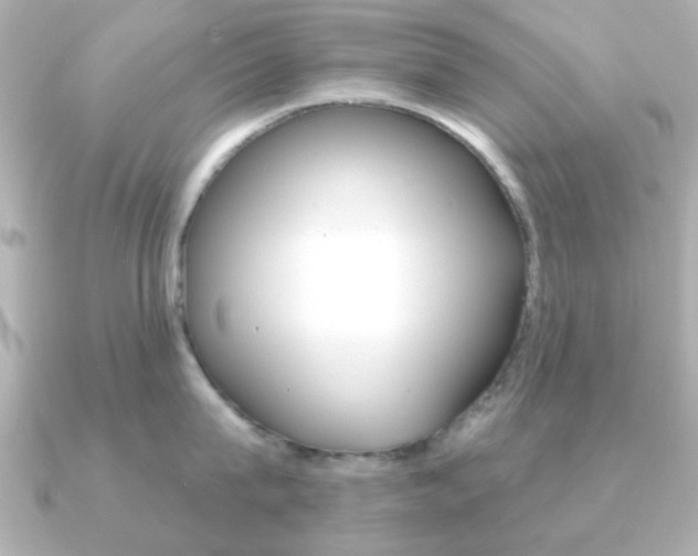 X0000091190815200708091021
