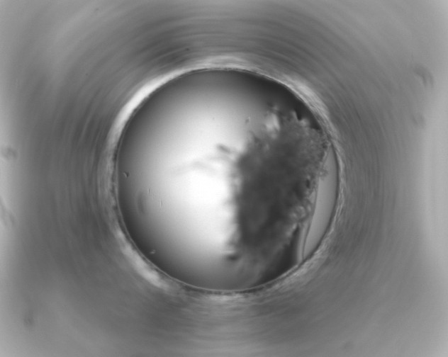 X0000091190816200708091021
